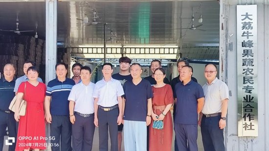 图片16